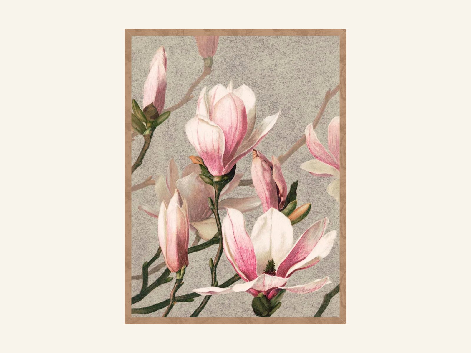 Magnolia- L. Prang Poster - copper.red.co